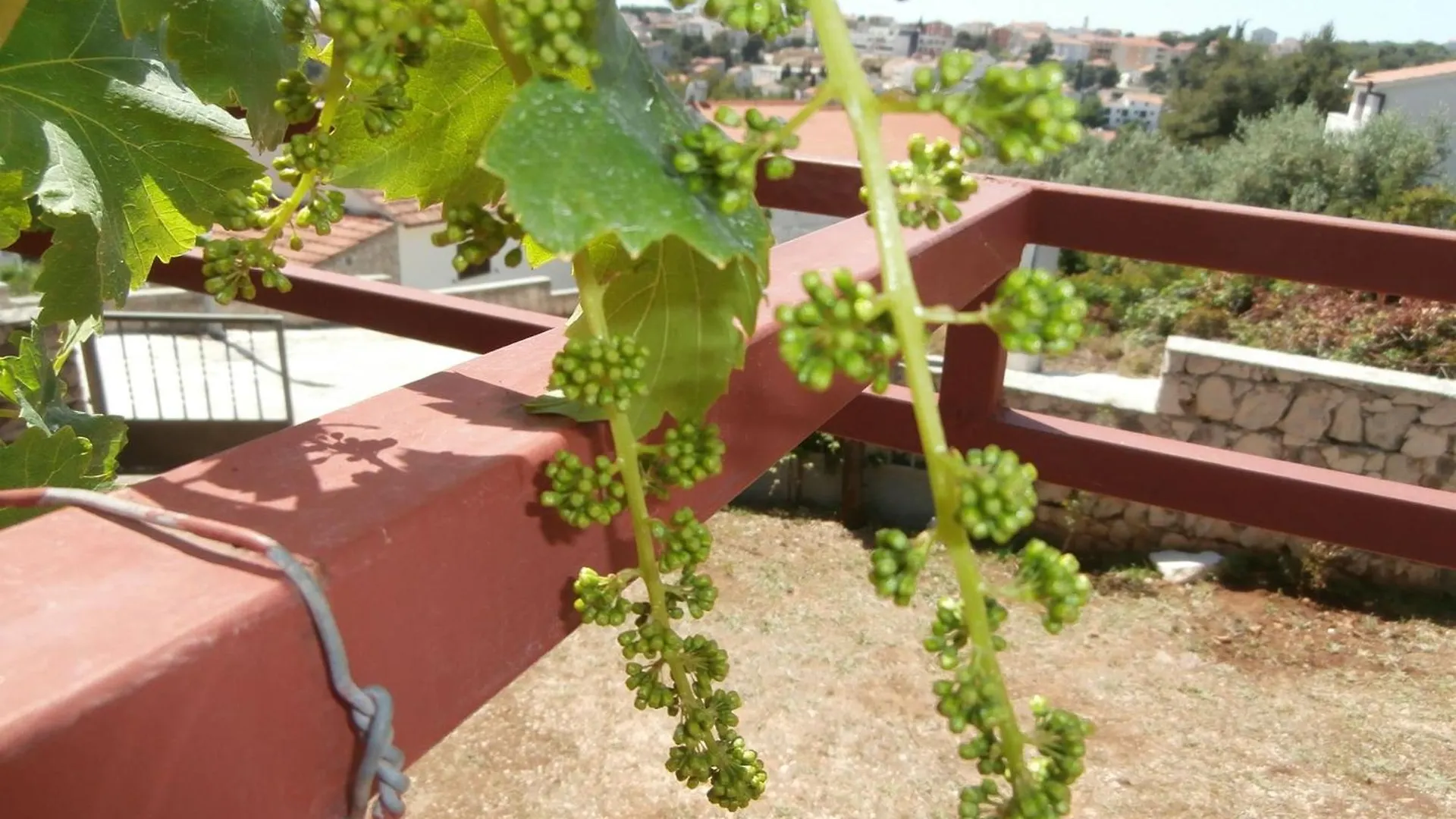 Apartment Mit Balkon Und Meerblick Trogir
